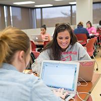 Students work together in the library.